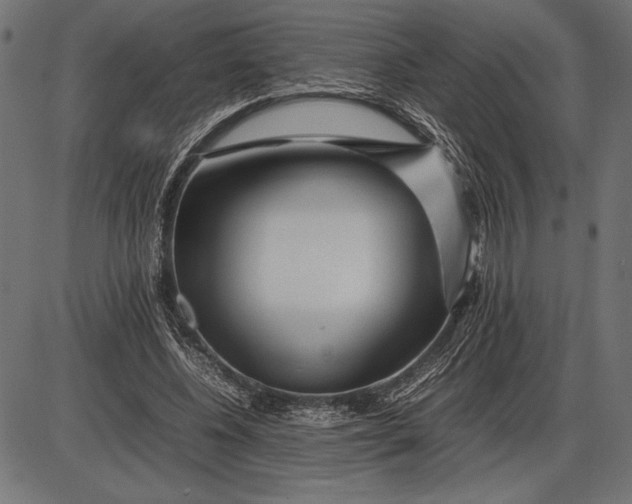 X0000086080540200704091303