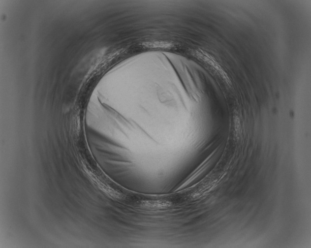 X0000086080541200704091303