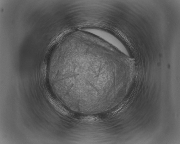 X0000086080542200704091303