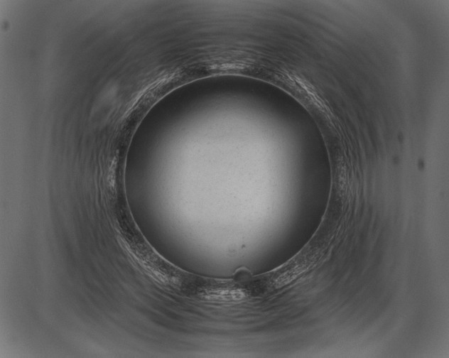 X0000086080543200704091303