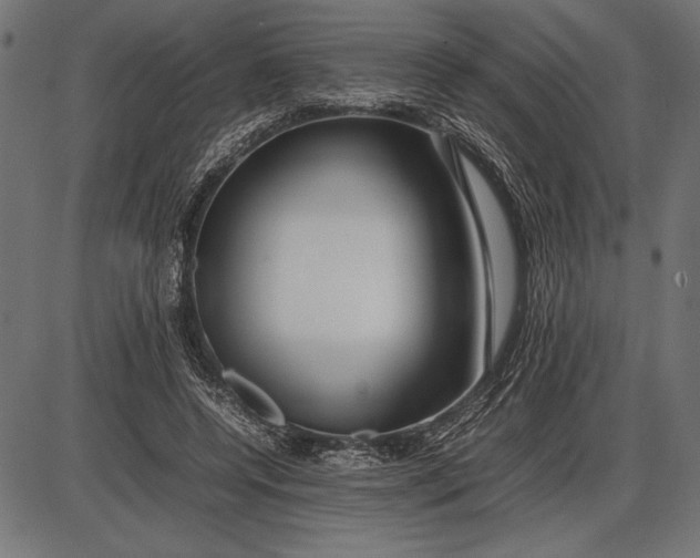 X0000086080544200704091303