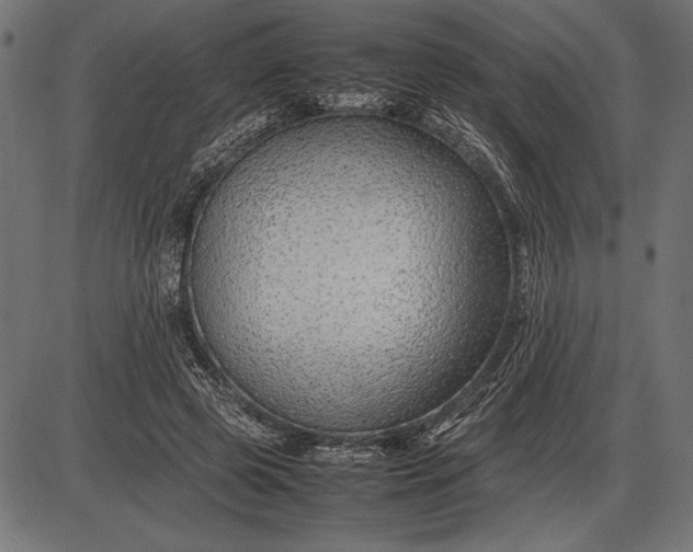 X0000086080545200704091303