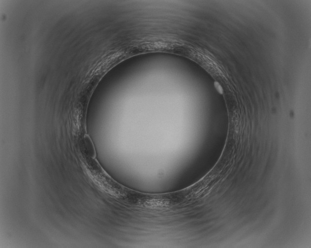 X0000086080546200704091303