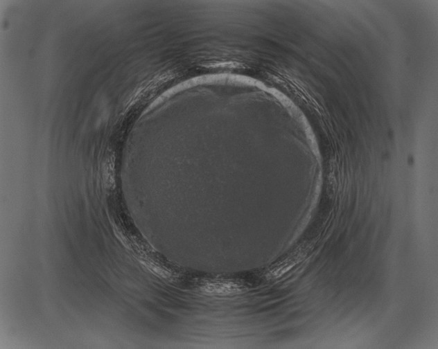 X0000086080547200704091304