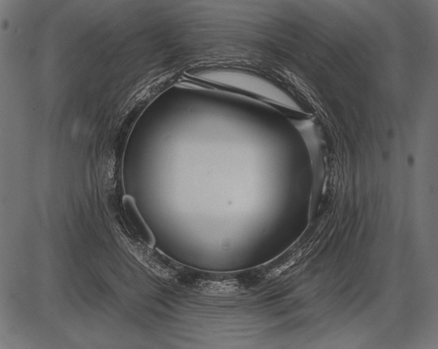 X0000086080548200704091304