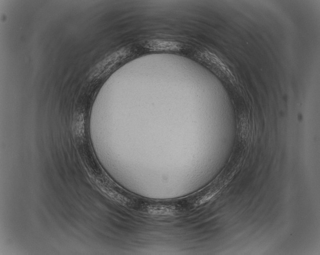 X0000086080549200704091304