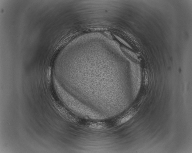 X0000086080550200704091304