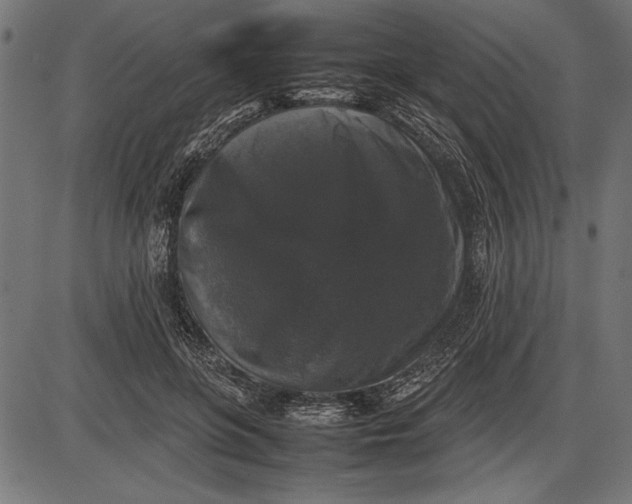 X0000086080551200704091304