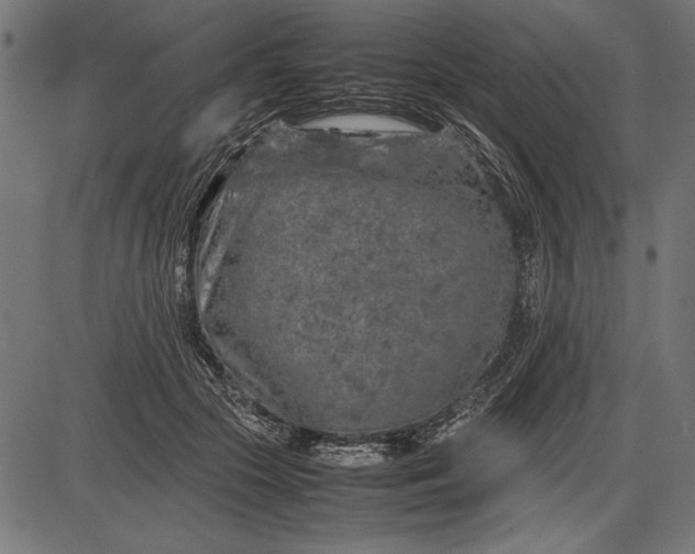 X0000086080553200704091304