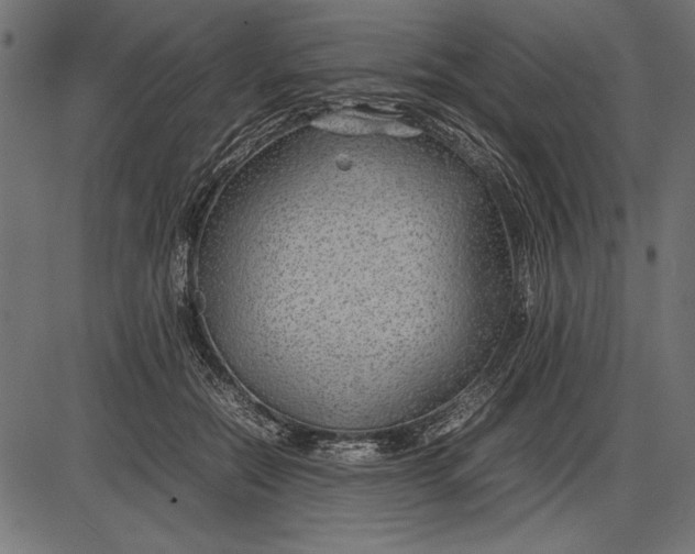 X0000086080554200704091304