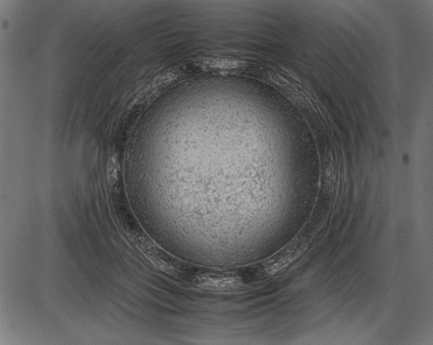 X0000086080555200704091304