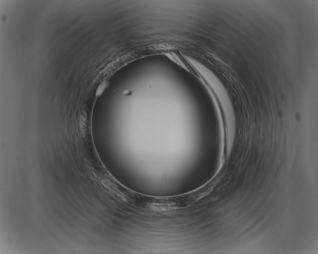 X0000086080556200704091304