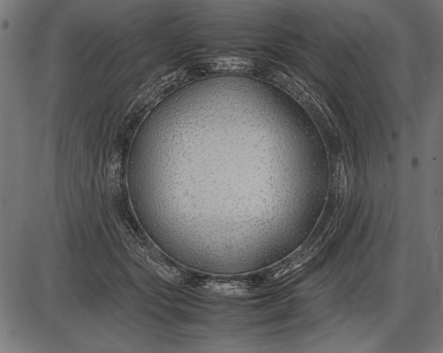 X0000086080557200704091304