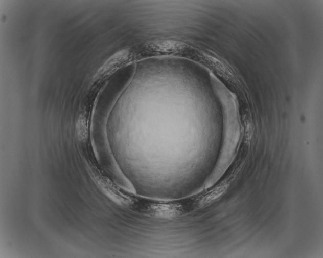 X0000086080558200704091304