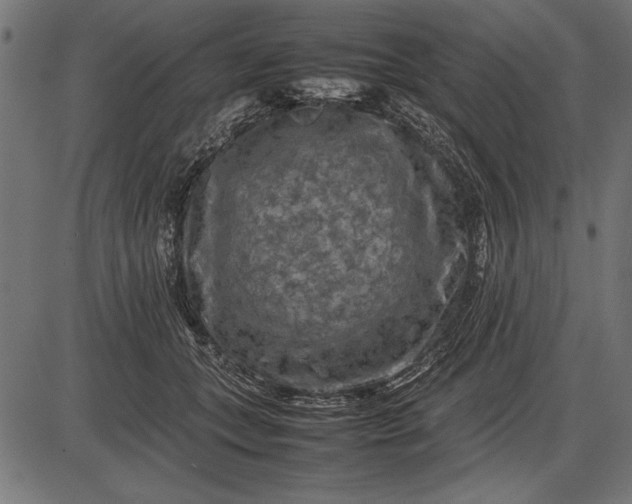 X0000086080559200704091304