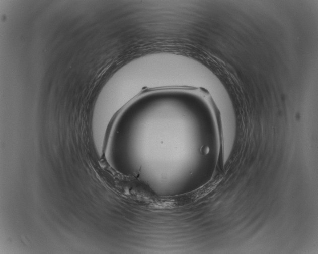 X0000086080560200704091304