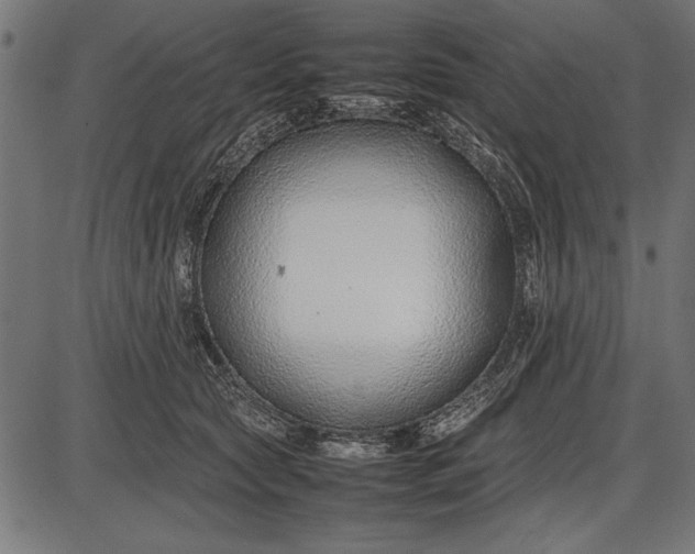 X0000086080561200704091304