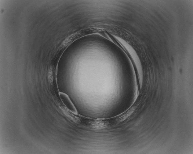 X0000086080562200704091304