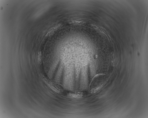 X0000086080563200704091304