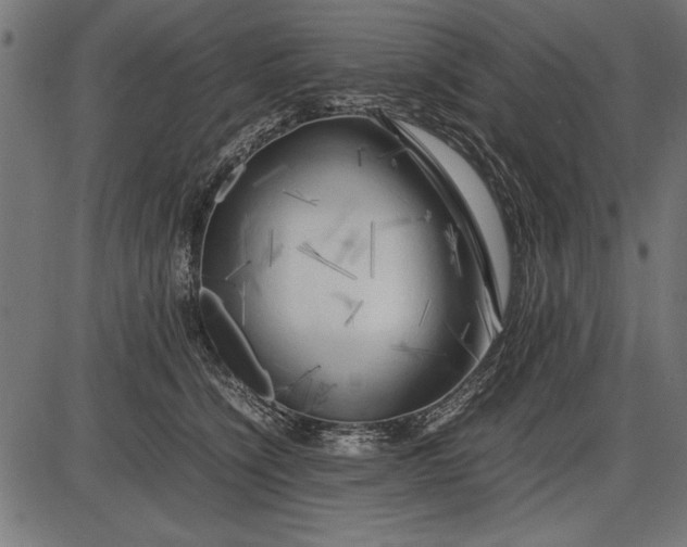 X0000086080564200704091304