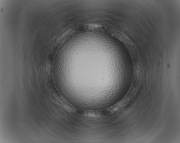 X0000086080565200704091304