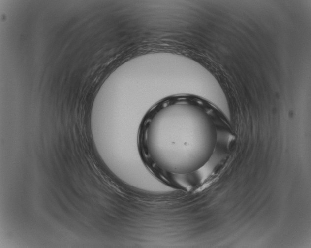 X0000086080566200704091304