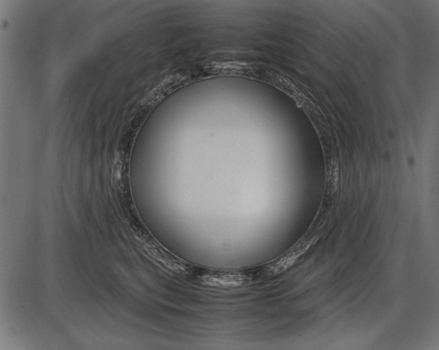 X0000086080567200704091304