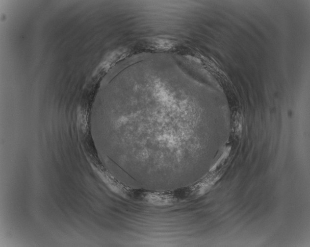 X0000086080568200704091304