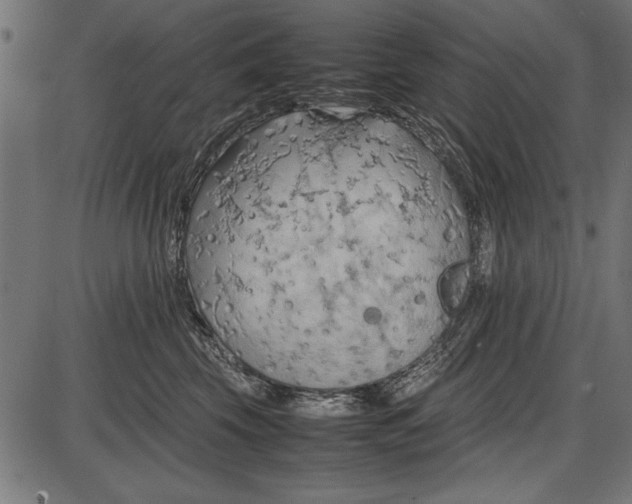 X0000086080569200704091304