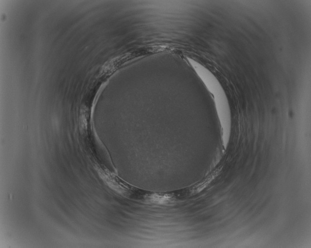 X0000086080570200704091304