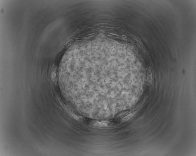 X0000086080573200704091304