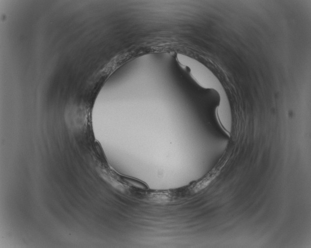 X0000086080574200704091304