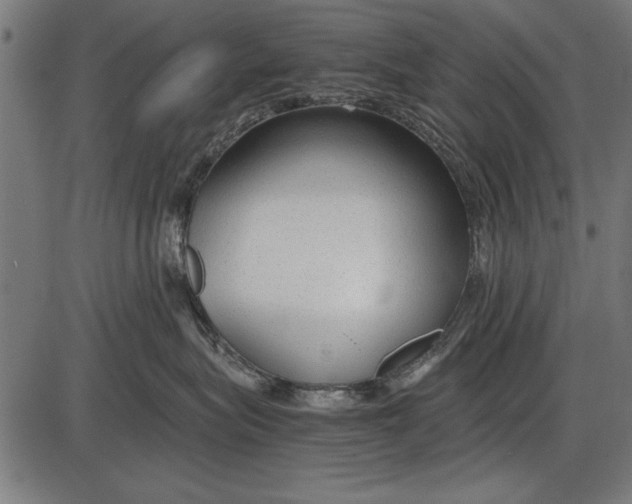 X0000086080575200704091304