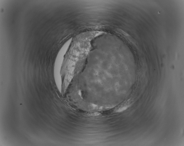 X0000086080576200704091304