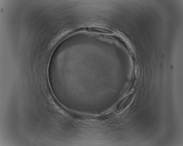 X0000086080577200704091303