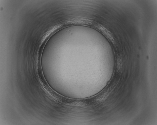 X0000086080578200704091303