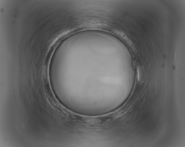 X0000086080579200704091303