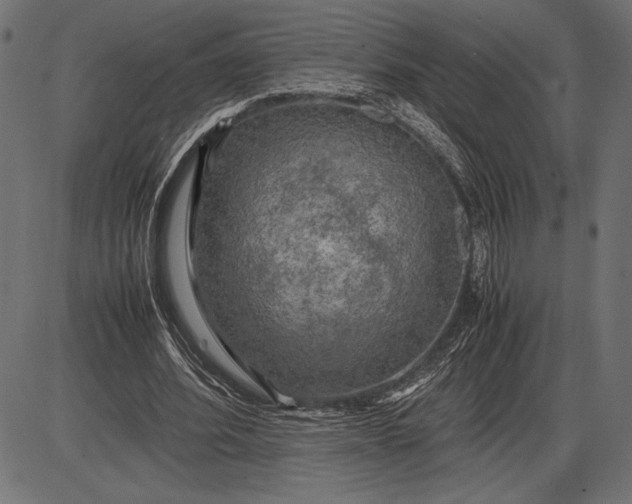 X0000086080580200704091303