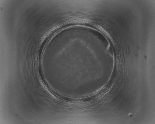 X0000086080581200704091303