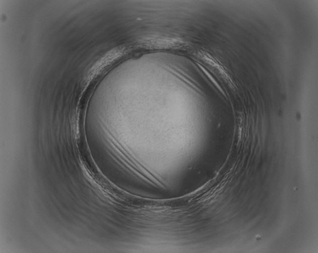 X0000086080582200704091303