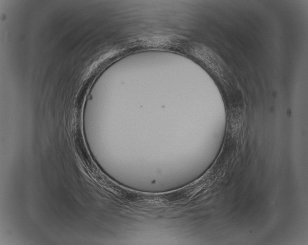 X0000086080583200704091303