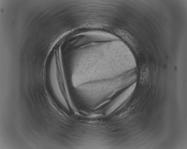 X0000086080584200704091303