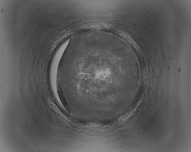 X0000086080585200704091303