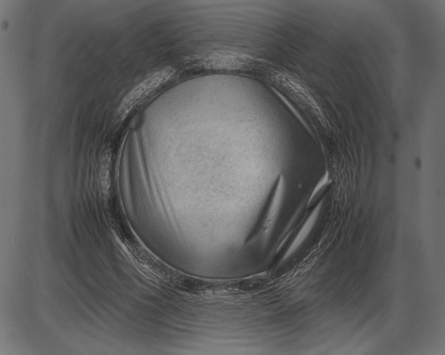 X0000086080586200704091303