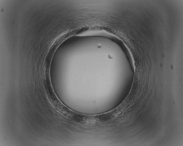 X0000086080587200704091303