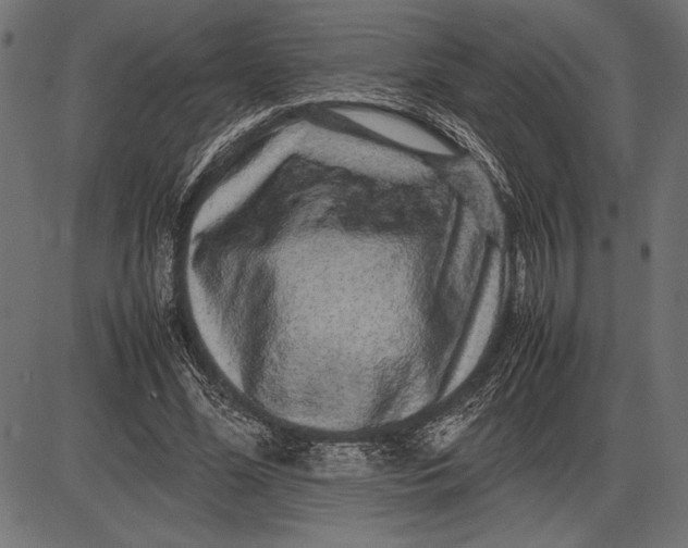 X0000086080588200704091303