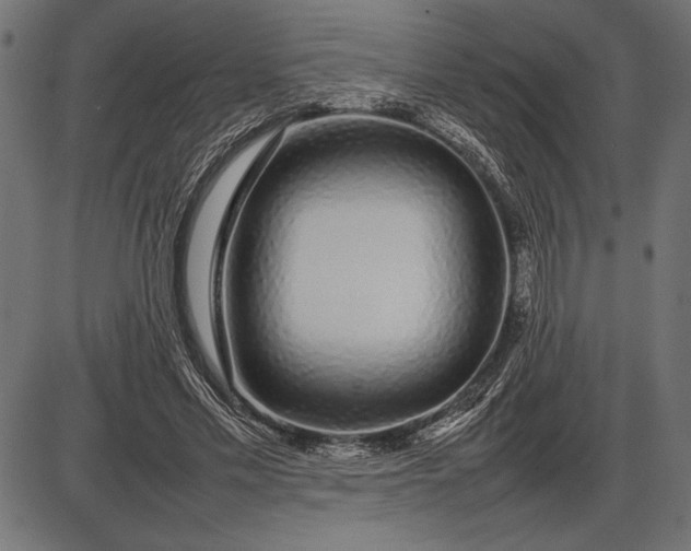 X0000086080589200704091303