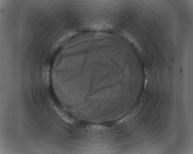 X0000086080590200704091303