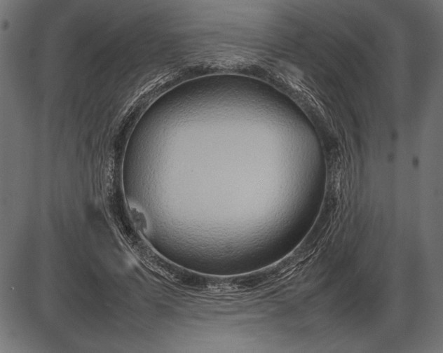 X0000086080591200704091303