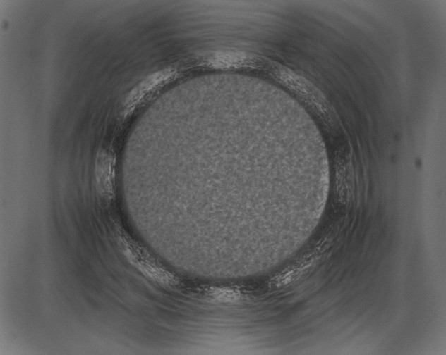 X0000086080592200704091303